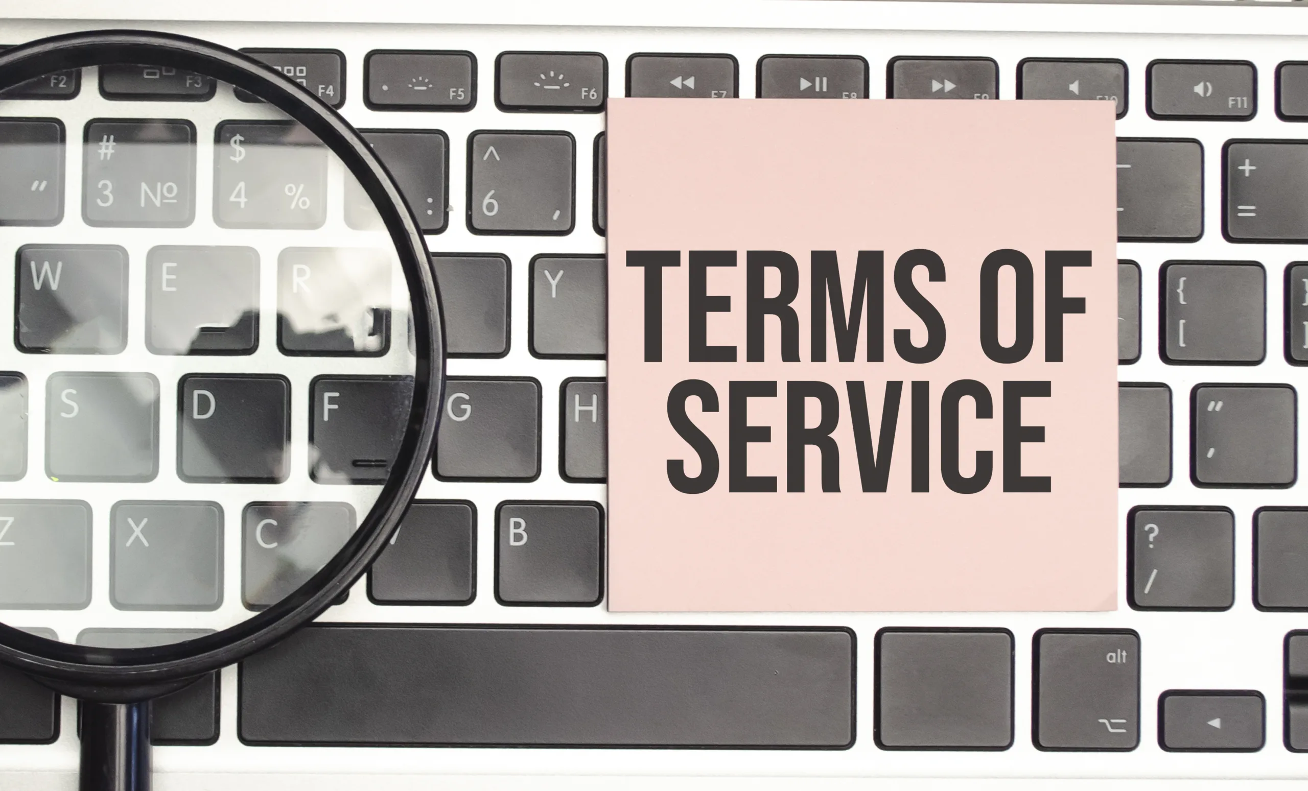Terms of Service - SmartBlogStartup.com