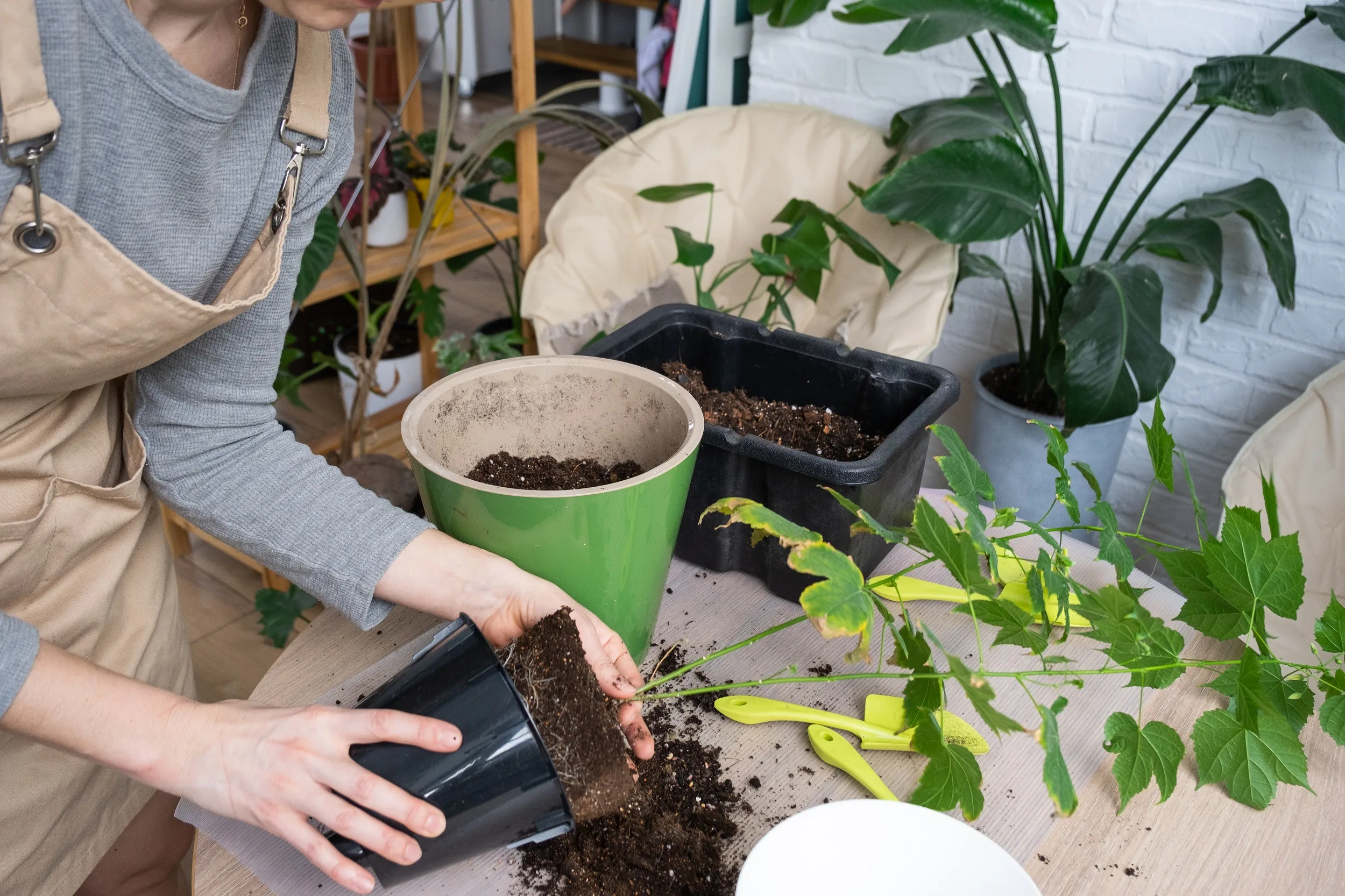 Gardening Blog Name Ideas
